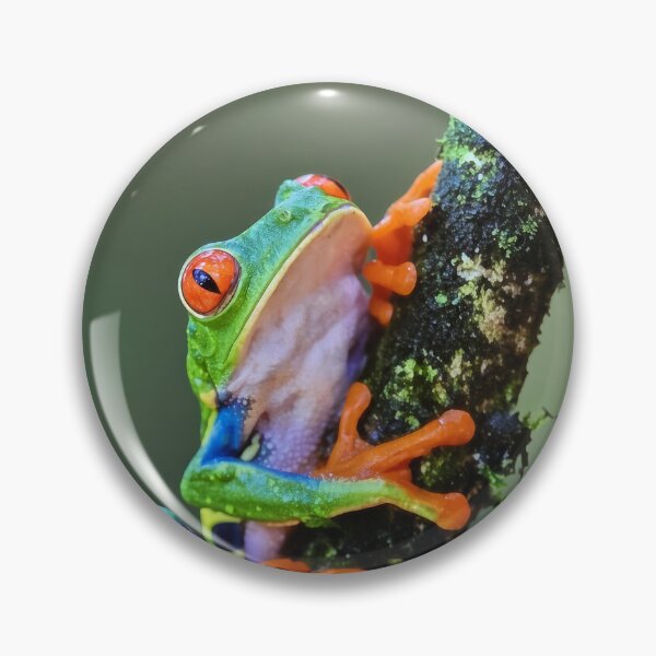 Item preview, Emerald & Ruby – Red-Eyed Tree Frog designed and sold by Marina Langer Wildlife Art..