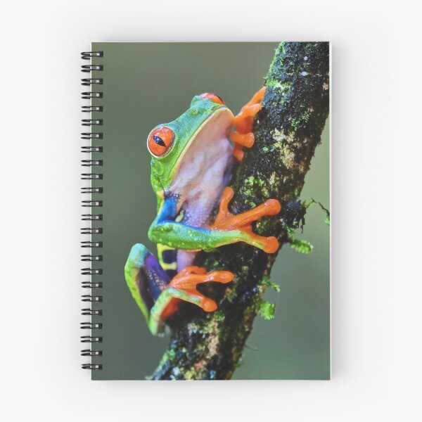 Item preview, Emerald & Ruby – Red-Eyed Tree Frog designed and sold by Marina Langer Wildlife Art..