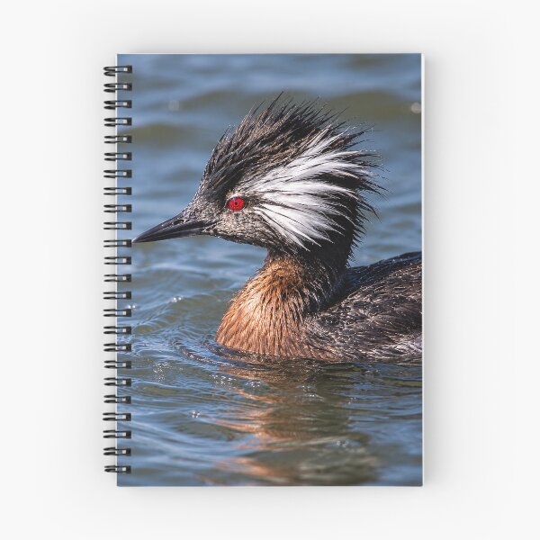 Item preview, White Tufted Grebe with Red Eye (AI) designed and sold by nikkolaus.