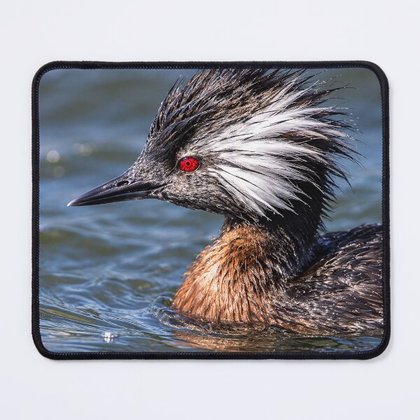 Item preview, White Tufted Grebe with Red Eye (AI) designed and sold by nikkolaus.