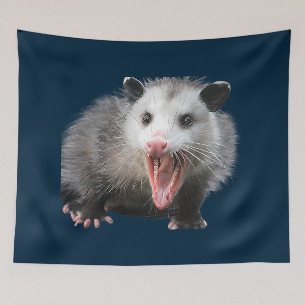 Item preview, Aaaa  designed and sold by MurrayStricker.