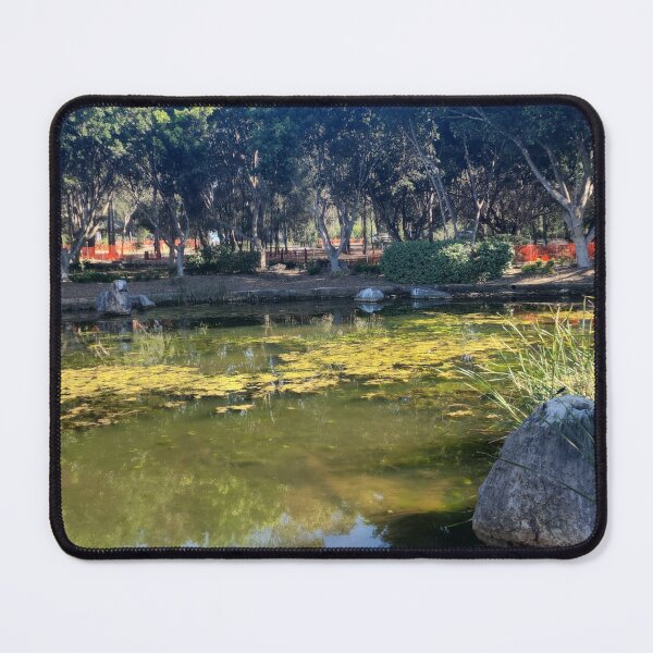 Item preview, Sydney Chinese‑Style Garden Pool designed and sold by somebody who lived.