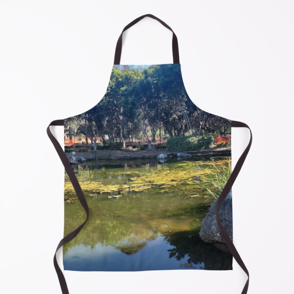 Item preview, Sydney Chinese‑Style Garden Pool designed and sold by somebody who lived.