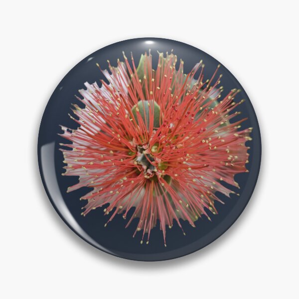 Item preview, Exotic Red Callistemon Bottle Brush Flower designed and sold by Yanshuf.
