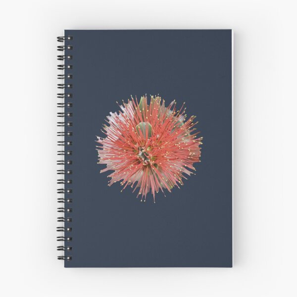 Item preview, Exotic Red Callistemon Bottle Brush Flower designed and sold by Yanshuf.