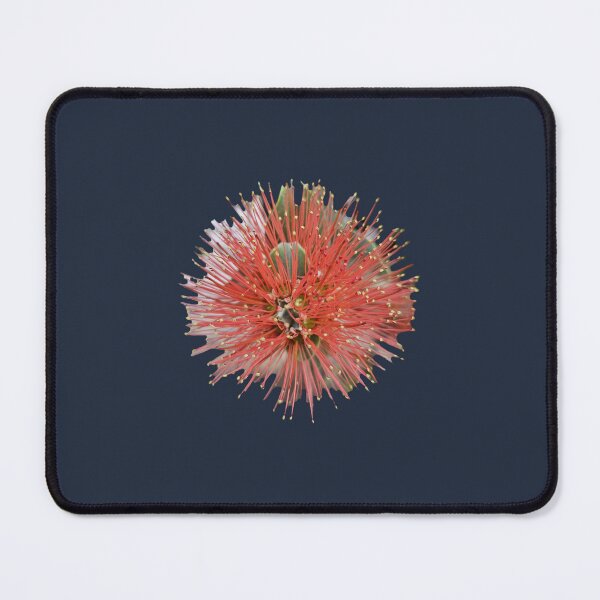 Item preview, Exotic Red Callistemon Bottle Brush Flower designed and sold by Yanshuf.