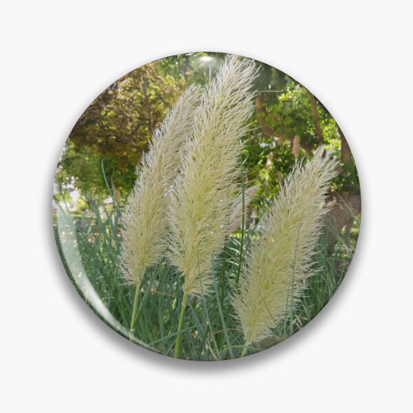 Item preview, Boho Pampas Grass in Summer Sun designed and sold by Yanshuf.