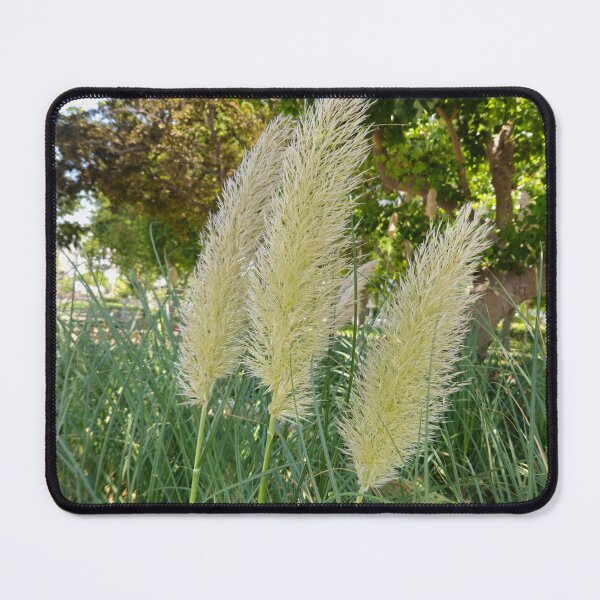 Item preview, Boho Pampas Grass in Summer Sun designed and sold by Yanshuf.