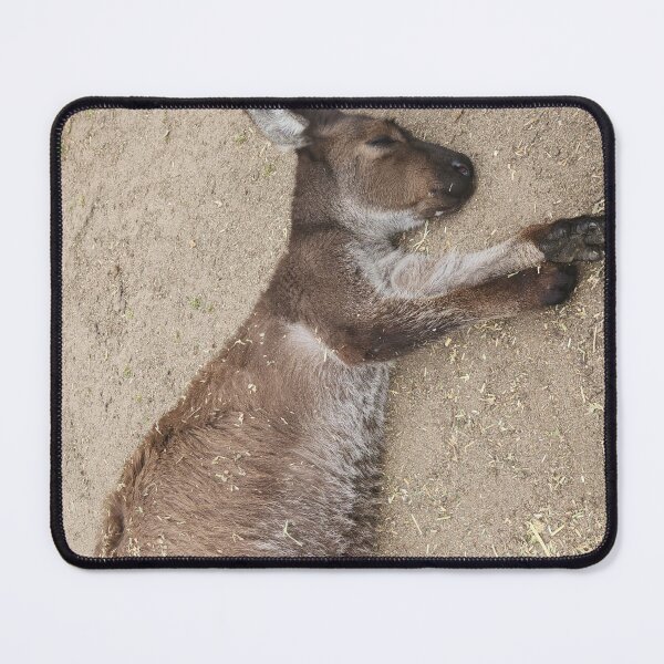 Item preview, Sleeping Kangaroo at Sydney Zoo designed and sold by somebody who lived.