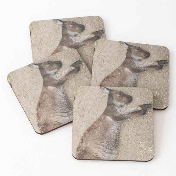 Item preview, Sleeping Kangaroo at Sydney Zoo designed and sold by somebody who lived.