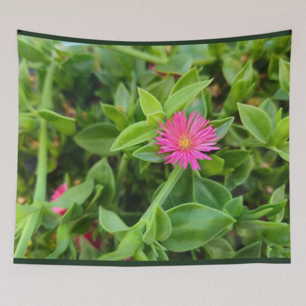 Item preview, Bright Pink Aptenia Flower on Green Succulent Leaves designed and sold by Yanshuf.
