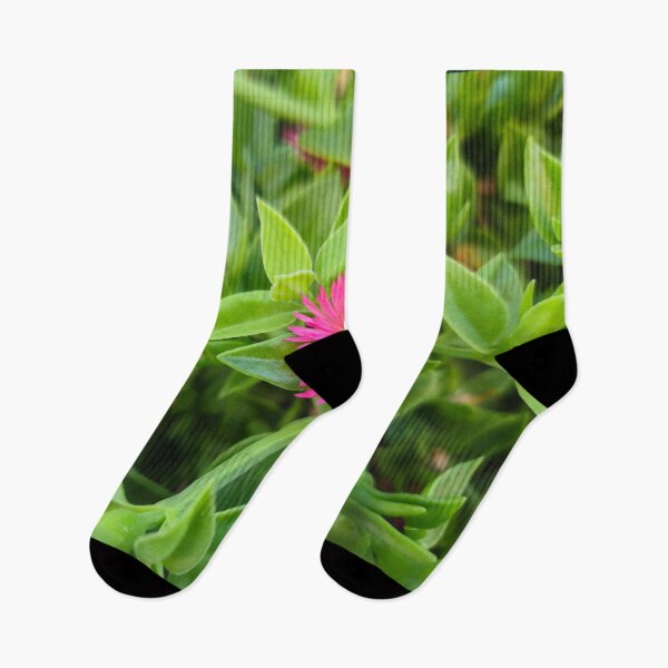 Item preview, Bright Pink Aptenia Flower on Green Succulent Leaves designed and sold by Yanshuf.