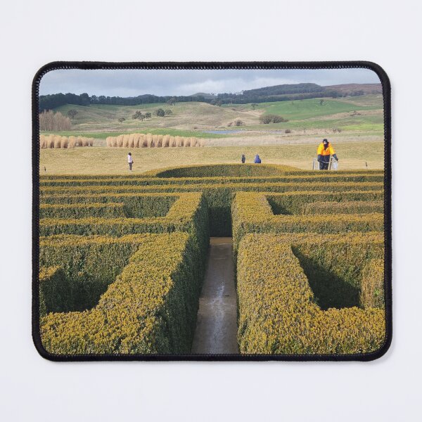Item preview, Mayfield Garden Hedge Maze – NSW designed and sold by somebody who lived.