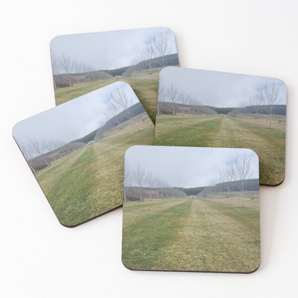 Item preview, Mayfield Garden Winter Avenue – NSW designed and sold by somebody who lived.
