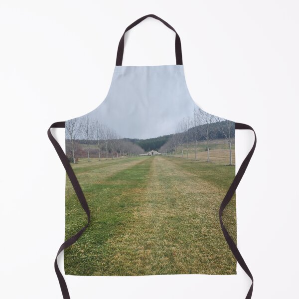 Item preview, Mayfield Garden Winter Avenue – NSW designed and sold by somebody who lived.