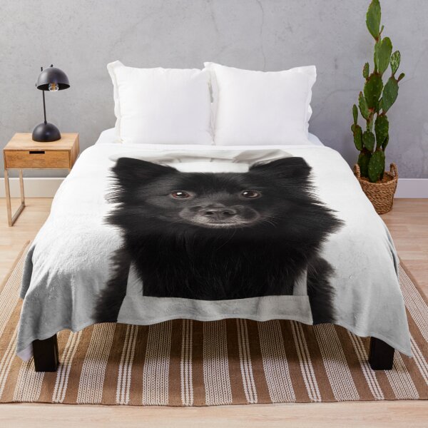 Item preview, Schipperke Chef Dog Funny Cooking Apron Hat Cute Pet Portrait designed and sold by LazyOwlStore.