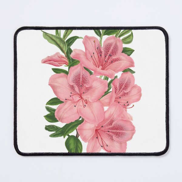 Item preview, pink azalea flower botanical art designed and sold by introvertarts.