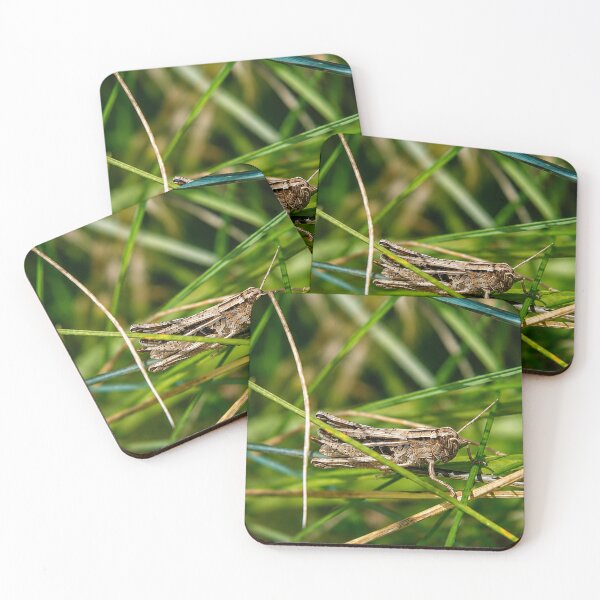 Item preview, Brown grasshopper resting on green grass designed and sold by Astute-Artio-Photography.