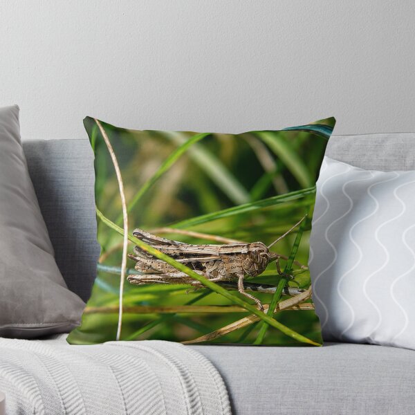 Item preview, Brown grasshopper resting on green grass designed and sold by Astute-Artio-Photography.