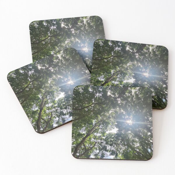 Item preview, Hyde Park Tree Canopy – Sydney designed and sold by somebody who lived.