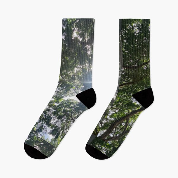 Item preview, Hyde Park Tree Canopy – Sydney designed and sold by somebody who lived.