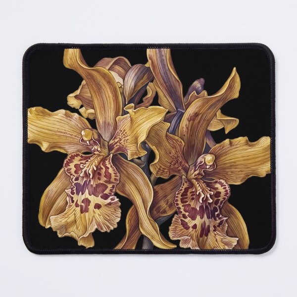 Item preview, Golden Parasite – Vintage Botanical Cyrtochilum Macranthum Orchid Art designed and sold by FreiherrPK.