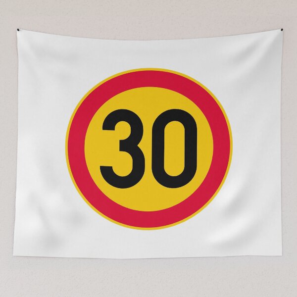 Item preview, 30th Birthday Speed Limit 30 Sign designed and sold by VectorForge Studio.