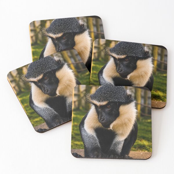 Item preview, Roloway monkey deep in contemplation designed and sold by Astute-Artio-Photography.