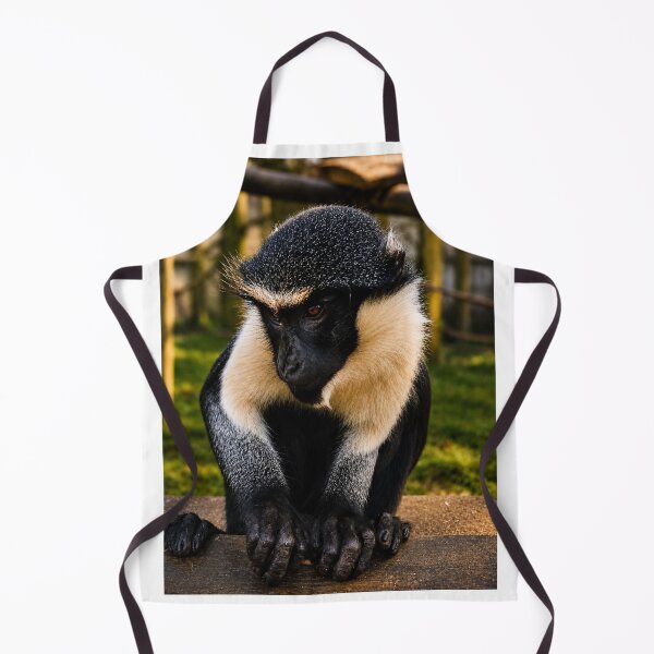 Item preview, Roloway monkey deep in contemplation designed and sold by Astute-Artio-Photography.