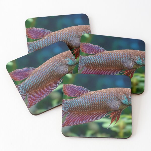 Item preview, Betta fish designed and sold by ScienceRex.