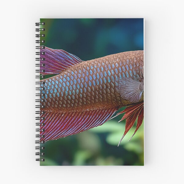 Item preview, Betta fish designed and sold by ScienceRex.