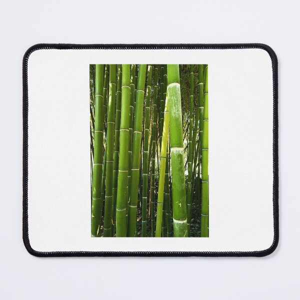 Item preview, Bamboo designed and sold by JCis1WTL.