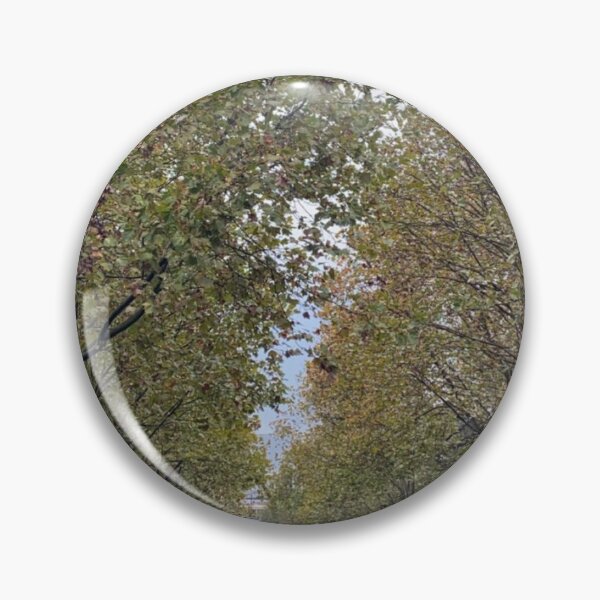 Item preview, Hyde Park Rainy Walkway – Sydney designed and sold by somebody who lived.
