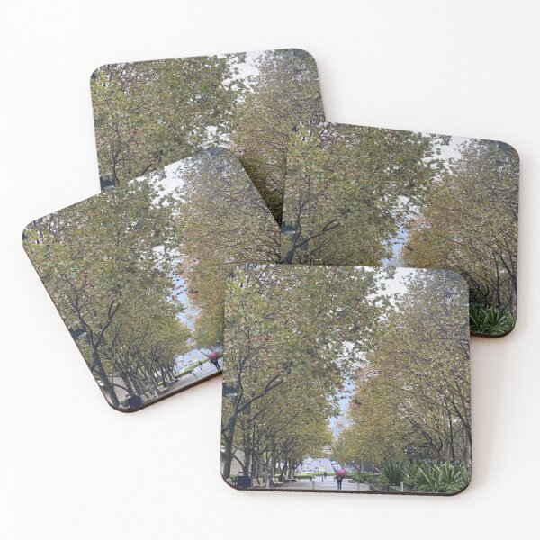 Item preview, Hyde Park Rainy Walkway – Sydney designed and sold by somebody who lived.