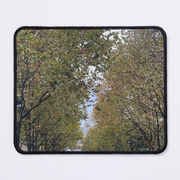 Item preview, Hyde Park Rainy Walkway – Sydney designed and sold by somebody who lived.
