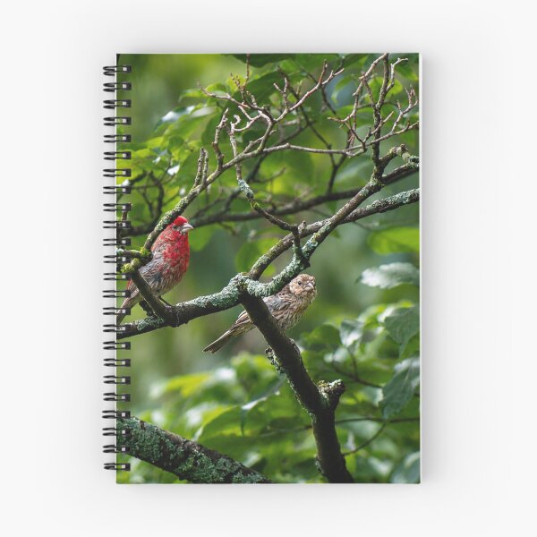 Item preview, Colourful pair of cardinals on moss covered branch designed and sold by Astute-Artio-Photography.
