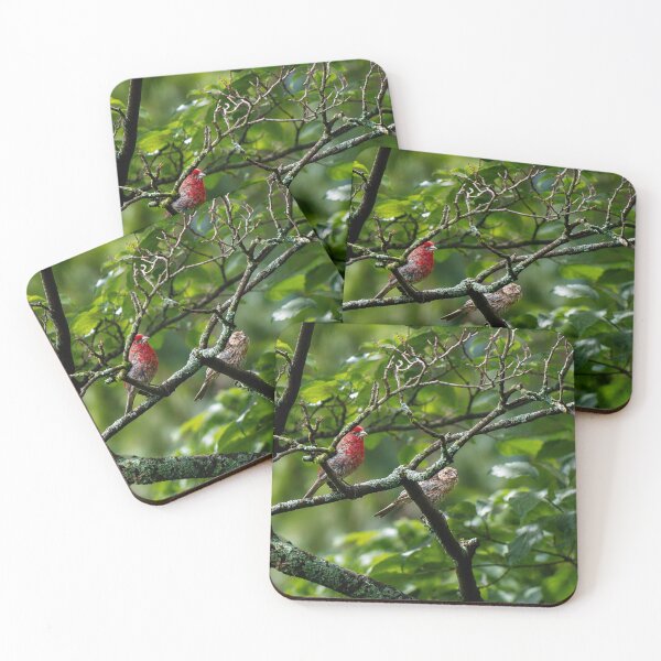 Item preview, Colourful pair of cardinals on moss covered branch designed and sold by Astute-Artio-Photography.