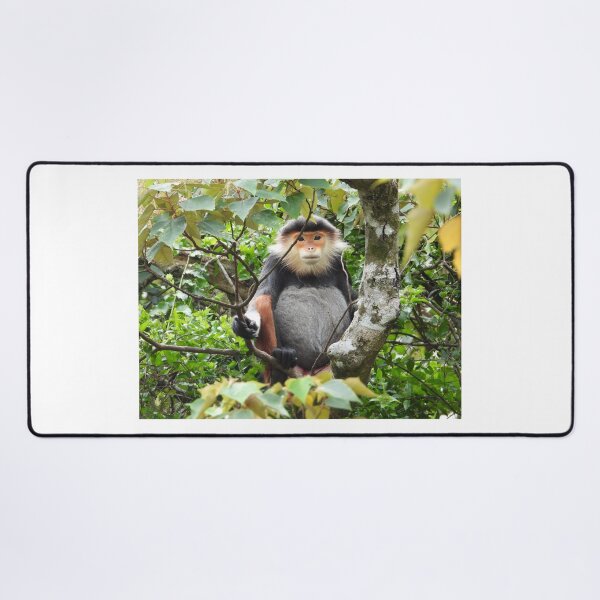 Item preview, Red Shanked Douc Langur Vietnam designed and sold by JCis1WTL.