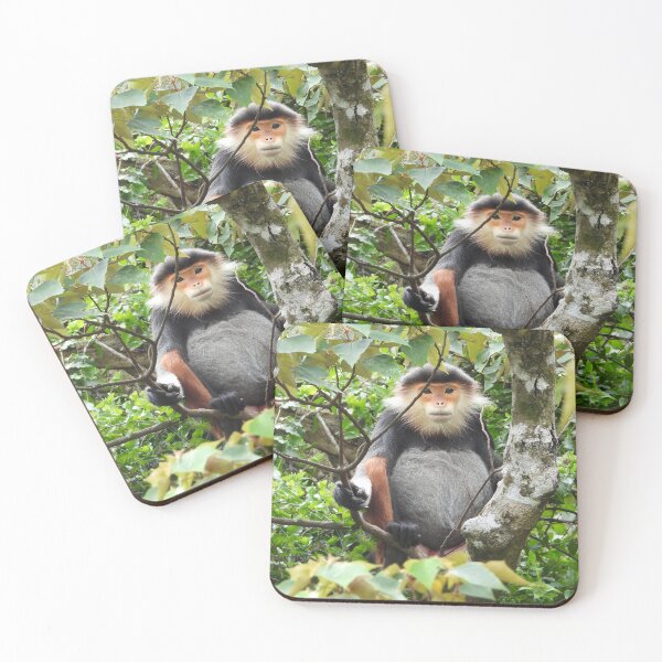 Item preview, Red Shanked Douc Langur Vietnam designed and sold by JCis1WTL.