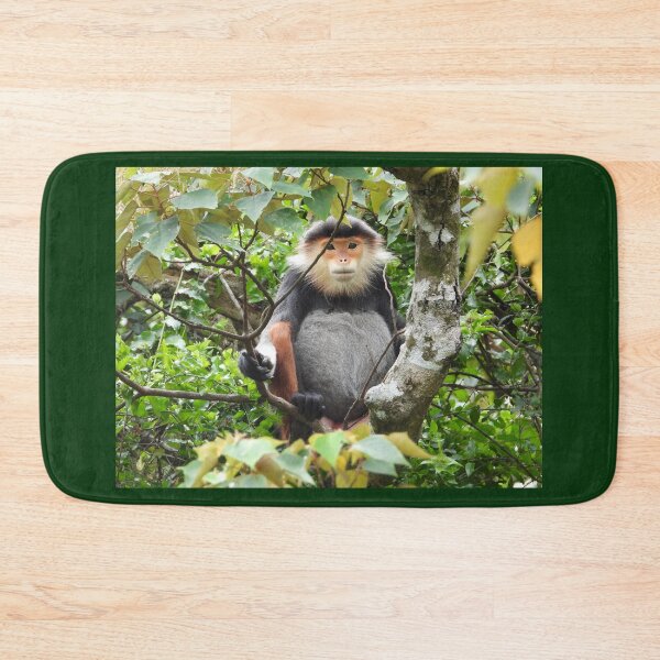Item preview, Red Shanked Douc Langur Vietnam designed and sold by JCis1WTL.