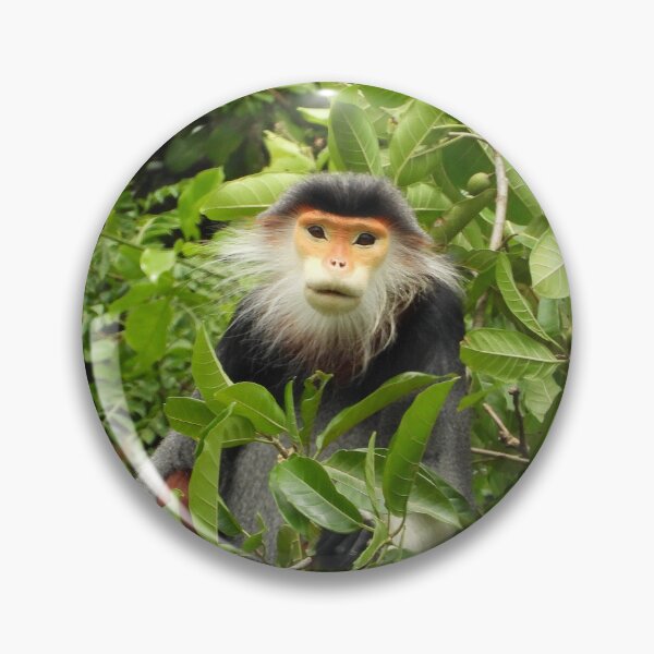 Item preview, Red Shanked Douc Langur Vietnam designed and sold by JCis1WTL.