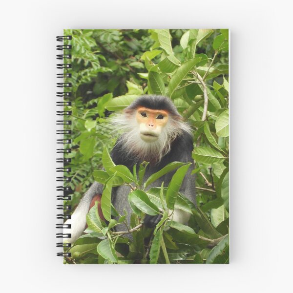 Item preview, Red Shanked Douc Langur Vietnam designed and sold by JCis1WTL.