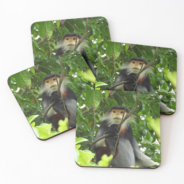 Item preview, Red Shanked Douc Langur Vietnam designed and sold by JCis1WTL.