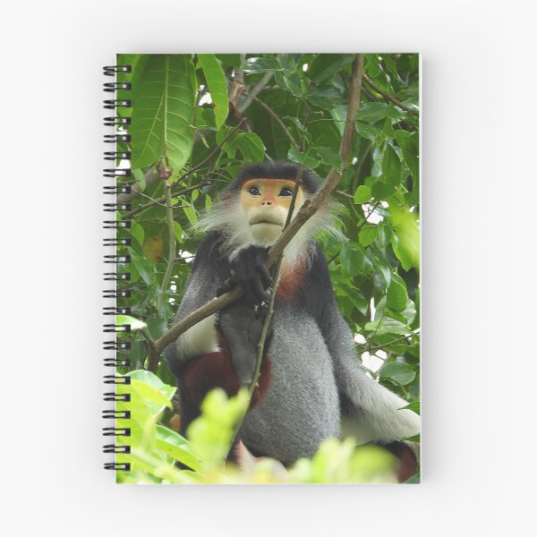 Item preview, Red Shanked Douc Langur Vietnam designed and sold by JCis1WTL.