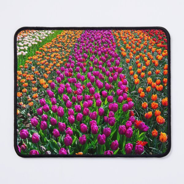 Item preview, Colorful tapestry of tulip fields springtime floral blossom color fine art photograph designed and sold by Jéanpaul Ferro.