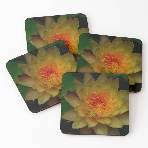 Item preview, Lotus Vietnam designed and sold by JCis1WTL.