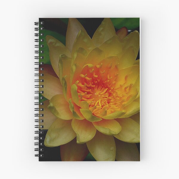 Item preview, Lotus Vietnam designed and sold by JCis1WTL.