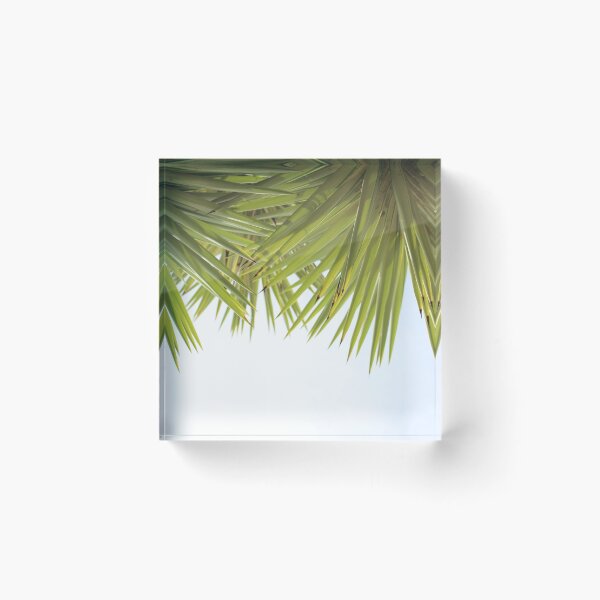 Item preview, Yucca designed and sold by memedream.