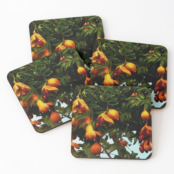 Item preview, Ormosia Robusta tree Vietnam designed and sold by JCis1WTL.