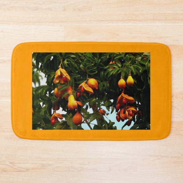 Item preview, Ormosia Robusta tree Vietnam designed and sold by JCis1WTL.